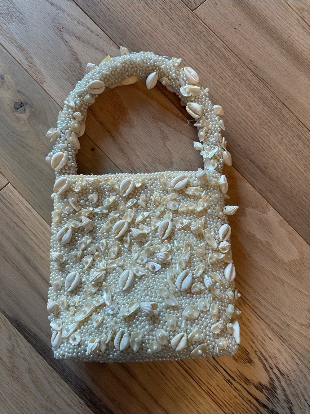 Beaded Shell-Embellished Ivory Purse